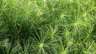 460912_147749435410075_1155344025_o