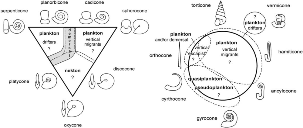 Monomorph-Heteromoprh